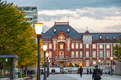 紅葉と東京駅丸の内駅舎,紅葉,イチョウ,いちょう,銀杏,並木,秋,東京,東京駅,内駅舎,赤レンガ,丸の内,重要文化財,豪壮華麗,洋式建築,中央駅,国指定重要文化財,Tokyo Station City,ライトアップ,レトロ,レンガ造り,復元,tokyo,旅行,旅,travel