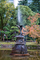 日比谷公園の紅葉,日比谷公園,千代田区,日比谷,公園,紅葉,落ち葉,秋,もみじ,モミジ,いちょう,イチョウ,銀杏,都立公園,霞が関,有楽町,紅葉狩り,季語,噴水,池,japan,autumn