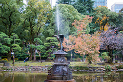 日比谷公園の紅葉,日比谷公園,千代田区,日比谷,公園,紅葉,落ち葉,秋,もみじ,モミジ,いちょう,イチョウ,銀杏,都立公園,霞が関,有楽町,紅葉狩り,季語,噴水,池,japan,autumn