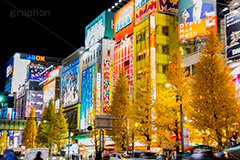 秋葉原のイチョウ並木と夜景,秋葉原,あきば,アキバ,千代田区,電気街,ゲーム,カルチャー,サブカル,文化,おたく,オタク,夜景,紅葉,いちょう,銀杏,イチョウ,並木,ネオン,夜,看板,広告,繫華街,夜の街,夜の町,japan,akiba,neon,game,culture