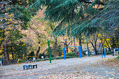 日比谷公園の公園,日比谷公園,千代田区,日比谷,公園,紅葉,落ち葉,秋,もみじ,モミジ,いちょう,イチョウ,銀杏,japan,autumn,都立公園,霞が関,有楽町,遊具,ベンチ,park