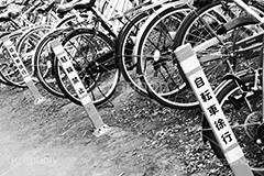 自転車(モノクロ),モノクロ,白黒,しろくろ,モノクローム,単色画,単彩画,単色,マナー