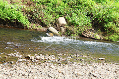 川の流れ,川,川原,河原,流れ,かわ,自然,水面,自然,多摩川,river