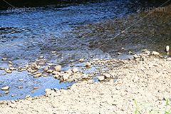 川の流れ,川,川原,河原,流れ,かわ,自然,水面,自然,多摩川,river