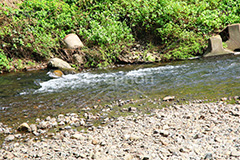 川の流れ,川,川原,河原,流れ,かわ,自然,水面,自然,多摩川,river