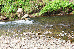 川の流れ,川,川原,河原,流れ,かわ,自然,水面,自然,多摩川,river