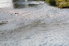 川の流れ,川,川原,河原,流れ,かわ,自然,水面,自然,多摩川,river