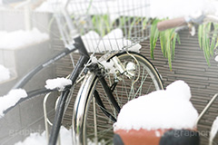 雪の朝,雪,朝,積もる,冬,サドル,自転車,寒い,凍る,困る,カゴ,かご,籠,タイヤ,降る,積雪,snow,winter