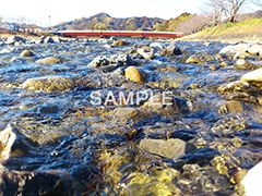 川の流れ,川,川原,河原,流れ,かわ,自然,river