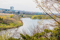 多摩川,川,川原,河川敷,一級河川,玉川,河川