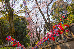 千躰子育地蔵尊,増上寺,芝公園,浄土宗,地蔵,お地蔵さん,子育て,安産,子供,こども,祈願,頭巾,赤い頭巾,風車,並ぶ,多い,大量,寺院,寺,参拝,重要文化財,文化財,港区,japan,temple