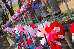 千躰子育地蔵尊,増上寺,芝公園,浄土宗,地蔵,お地蔵さん,子育て,安産,子供,こども,祈願,頭巾,赤い頭巾,風車,並ぶ,多い,大量,寺院,寺,参拝,重要文化財,文化財,港区,japan,temple