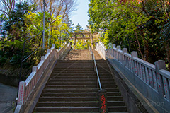 西久保八幡神社,神社,八幡,港区,虎ノ門,参拝,お参り,鳥居,階段,石段,神谷町,japan,和