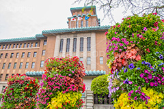 春の神奈川県庁,神奈川県庁,横浜,県庁,神奈川県,トピアリー,topiary,flower,spring,花壇,日本大通り,キングの塔,塔