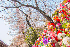 千躰子育地蔵尊,増上寺,芝公園,浄土宗,地蔵,お地蔵さん,子育て,安産,子供,こども,祈願,頭巾,赤い頭巾,風車,並ぶ,多い,大量,寺院,寺,参拝,重要文化財,文化財,港区,japan,temple,桜,さくら,和