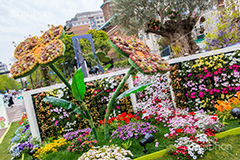 春の山下公園,山下公園,春,トピアリー,花,フラワー,spring,flower,topiary,花壇,横浜港,横浜,神奈川,モニュメント