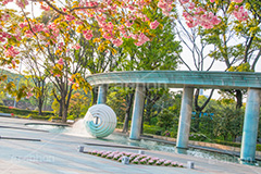 春の和田倉噴水公園,春,牡丹桜,遅咲き,花,お花,フラワー,和田倉噴水公園,大手町,公園,噴水,天皇,ご成婚,記念,大噴水,flower,spring,monument,モニュメント,落水施設