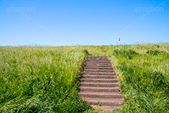 江戸川河川敷,江戸川,河川,河川敷,一級河川,歩道,散歩,ハイキング,ウォーキング,ランニング,hiking,walking,sports,running,ground,草むら,雑草,葛飾区,江戸川区,階段,青空