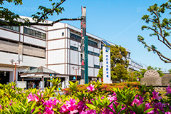 春の新木場駅前,新木場駅,新木場,駅,駅前,江東区,有楽町線,京葉線,りんかい線,春,spring,station,つつじ,ツツジ,ロータリー,木のまち