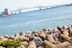 東京ゲートブリッジ,ゲート,ブリッジ,橋,東京湾,Tokyo Gate Bridge,bridge,江東区,恐竜橋,東京港臨海道路,若洲,大田区,新木場