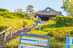 柴又公園,公園,施設,山本亭,寅さん記念館,葛飾区,柴又,観光,名所,江戸川河川敷,広場,イベント,event,park