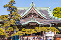 柴又帝釈天,葛飾区,柴又,日蓮宗,寺院,寺,お参り,参拝,寅さん,映画,経栄山題経寺,帝釈天,観光,japan,temple,下町,ロマン