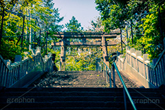 西久保八幡神社,トイカメラ撮影,トイカメラ,ヴィンテージ,ビンテージ,レトロ,お洒落,おしゃれ,オシャレ,味わい,トンネル効果