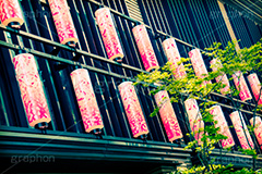 NIHONBASHI SAKURA GATE,トイカメラ撮影,トイカメラ,ヴィンテージ,ビンテージ,レトロ,お洒落,おしゃれ,オシャレ,味わい,トンネル効果