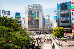 渋谷の雑踏,渋谷スクランブル交差点,渋谷,しぶや,観光,交差点,渋谷駅,駅前,スクランブル,外国人,海外,道玄坂,横断歩道,信号,japan,shibuya