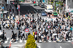 渋谷の雑踏,渋谷スクランブル交差点,渋谷,しぶや,観光,交差点,渋谷駅,駅前,スクランブル,外国人,海外,道玄坂,横断歩道,信号,雑踏,都会の雑踏,混む,混雑,人混み,人々,渡る,歩く,japan,shibuya