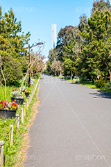 夢の島公園,公園,夢の島,人工島,東京湾,江東区,埋立地,埋め立て,park,olympic,自然,散歩,オリンピック,新木場,自然,草木