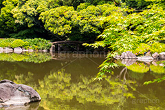 旧古河庭園の日本庭園,日本庭園,和風,和,旧古河庭園,洋館,ジョサイア,ミステリー,北区,都立庭園,名所,国有財産,名勝,tokyo,庭,庭園,西洋,洋風,西洋館,洋風庭園,洋式庭園,上中里,japan