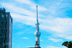 錦糸町からのスカイツリー,スカイツリー,skytree,tower,monument,錦糸町駅,錦糸町,墨田区,繁華街,駅前,モニュメント,タワー,青空