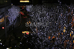 港区,観光名所,六本木,ヒルズ,Roppongi Hills,夜景,ライトアップ,高層,キラキラ,夜,けやきざか,けやき坂,イルミネーション,イルミ,LED,illumination,冬,ブランド,ショッピング,ロマンチック