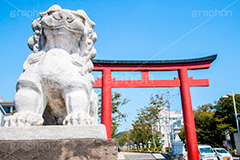 二の鳥居,鶴岡八幡宮,入口,若宮大路,段葛,徳川家綱,石造,神社,鎌倉,神奈川,観光,japan,狛犬,青空