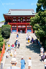 鶴岡八幡宮,神社,神奈川,鎌倉,国幣中社,武家源氏,観光,japan,参拝,お参り,石段,階段,大階段,大石段,本宮,上宮