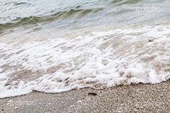 波打ち際,水面,海面,波,砂浜,泡,あわ,海,sea