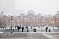 大雪の東京駅,東京駅,駅前,丸の内,雪,冬,積もる,降る,寒波,大雪,内駅舎,赤レンガ,重要文化財,豪壮華麗,洋式建築,中央駅,国指定重要文化財,レトロ,レンガ造り,千代田区,吹雪,東京,旅行,旅,travel,snow,Tokyo Station City,tokyo,japan