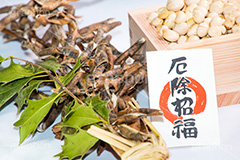 厄除招福,豆まき,豆,まめ,マメ,大豆,撒く,節分,福,外,内,季語,イベント,event,japan,雑節,大寒,邪気除け,厄除け,和,和風,風習,行事,マス,枡,文化,ひいらぎ,柊