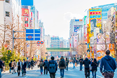 秋葉原の歩行者天国,歩行者天国,秋葉原,あきば,秋葉,アキバ,駅前,電気街,秋葉原駅,ゲーム,アニメ,おたく,オタク,文化,カルチャー,看板,広告,雑踏,都会の雑踏,人物,akiba,japan,culture