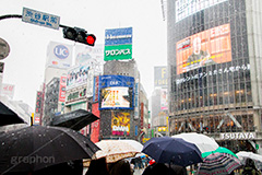 大雪の渋谷,渋谷,駅前,渋谷駅,雪,冬,降る,寒波,大雪,渋谷区,吹雪,ハチ公,スクランブル交差点,交差点,信号,信号機,傘,東京,tokyo,shibuya,snow,winter