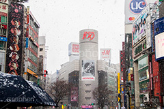 大雪の渋谷,渋谷,駅前,渋谷駅,雪,冬,降る,寒波,大雪,渋谷区,吹雪,ハチ公,スクランブル交差点,交差点,傘,東京,109,tokyo,shibuya,snow,winter