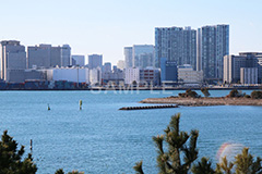 お台場,台場,海浜,海,海浜