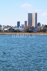 お台場,台場,海浜,海,海浜