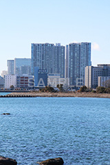 お台場,台場,海浜,海,海浜