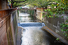 夏の目黒川,目黒川,中目黒,目黒,めぐろ,川,かわ,河,橋,はし,夏,目黒区,フルサイズ撮影