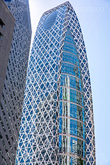 新宿コクーンタワー,コクーン,タワー,新宿,新宿西口,西口,駅前,tower,cocoon,building,office,feature,オフィス,ビル,高層ビル,オフィスビル,近未来,編目,編み目,西新宿,フルサイズ撮影