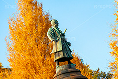 靖国神社の紅葉,千代田区,九段下,靖国神社,秋,紅葉,autumn,イチョウ,いちょう,銀杏,並木,黄色,大村益次郎,銅像