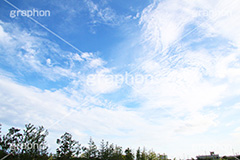 青空,空,晴,雲,お天気,空/天気,空/雲