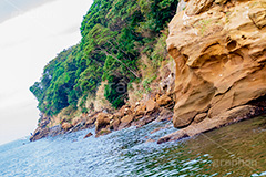 猿島,さるしま,無人島,東京湾,自然島,島,公園,神奈川県,横須賀,自然,史跡,伝説,空虚,名所,岸壁,海岸